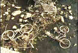 First of three photos showing Housatonic River with shopping carts, bicycles, and other trash.