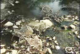 Second of three photos showing Housatonic River with shopping carts, bicycles, and other trash.