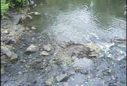 Second of three photos showing the same spot in the river after cleanup.