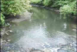 Third of three photos showing the same spot in the river after cleanup.