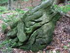 contorted metamorphic rock