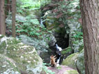 view from below the waterfall