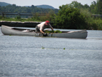 Long aluminum canoe with Bob Race leaning over to pull water chestnuts