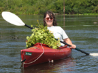 Carolyn in her kayak with a huge load of water chestnut piled high