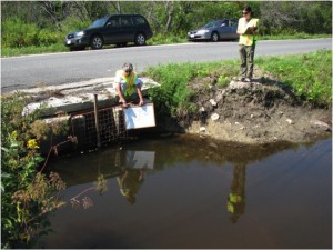 Volunteers surveying a stream crossing