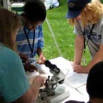 Jane helping kids at BioBlitz