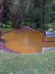Sacket Brook looking downstream from Mountain Drive