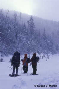 Trackers in the snow