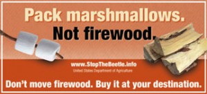 Don't Move Firewood