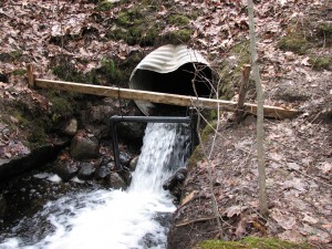 Photo of a perched culvert