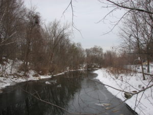 A view of the West Branch of the Housatonic River near Dorothy Amos Park