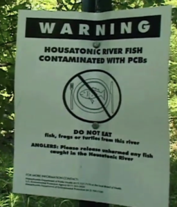 Sign posted along Housatonic River. Warning. Housatonic River fish contaminated with PCBs