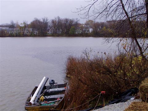 A plume of relatively clear water coming into Silver Lake