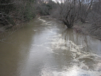 photo of stuff floating down brown river