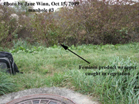 manhole with debris in bushes behind it