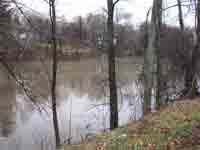 Belair Pond milky brown color