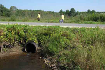two surveyors at a culvert under a road