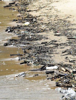 Description: Debris on shoreline (Image: AP)