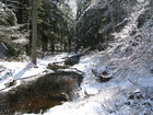 Stream in winter at October Mountain State Forest