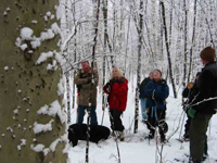 group looking up, very interested