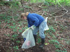 Cleaning the river bank