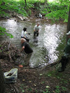 Getting trash out of the river