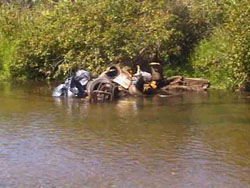 pile of trash at edge of river