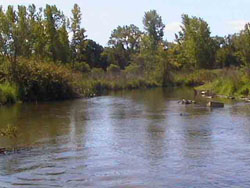 River mostly clean with one big thing left
