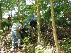 hauling the tire up a hill to the road