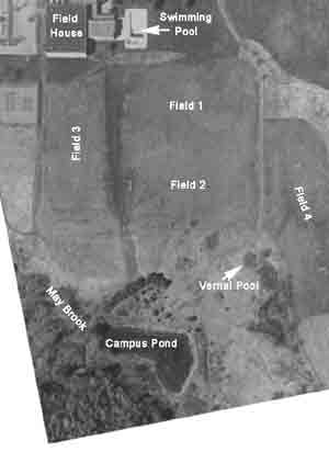 photo showing Field Layout and numbering system