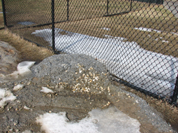 leftover fill left in parking lot