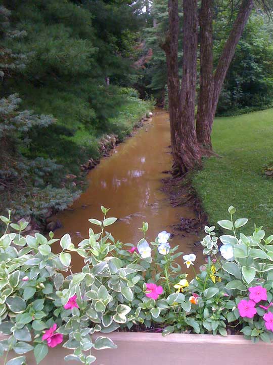Sacket Brook Turned Yellow (looking Upstream)