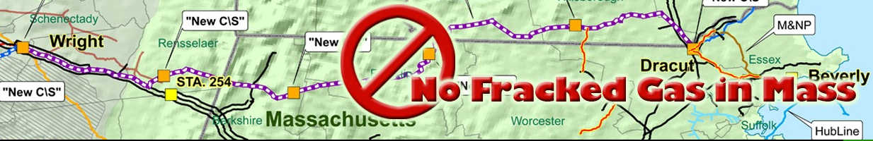 logo of No Fracked Gas In Mass