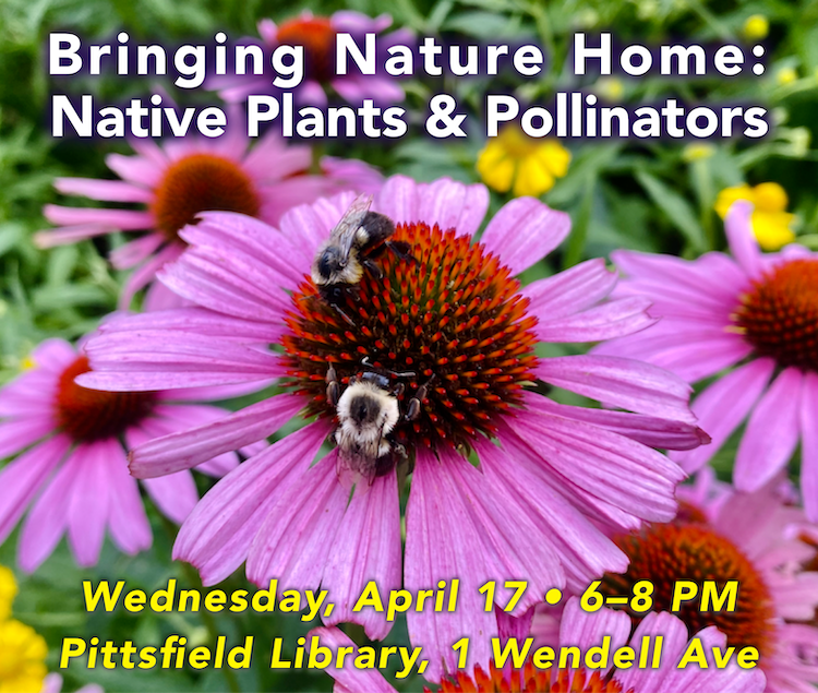 BEAT Event: Native Plants and Pollinators