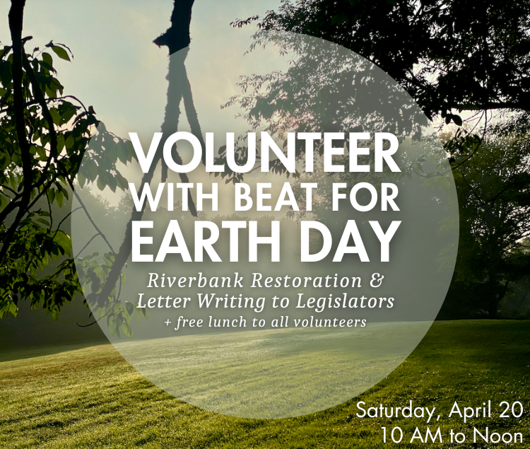 Volunteer with BEAT for Earth Day