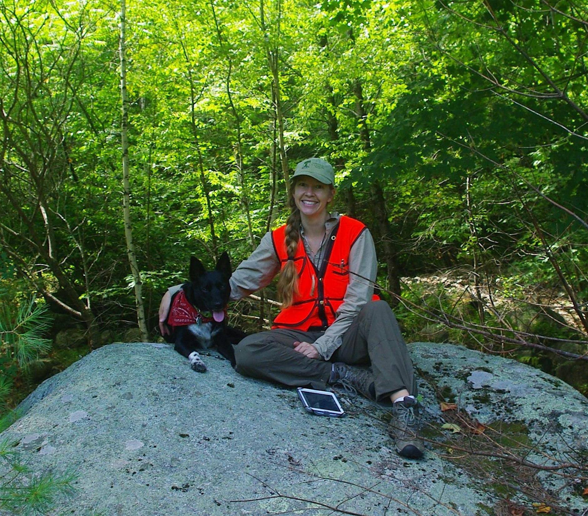 Letting Nature Lead: The Promise of Passive Rewilding