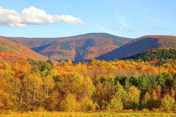 Discover Greylock Hike