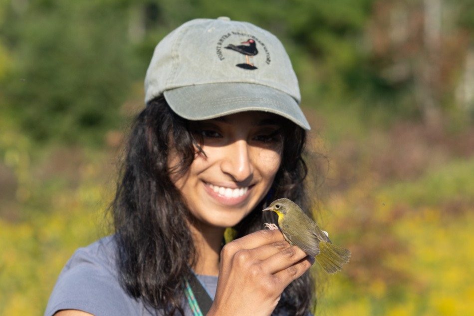 Bird banding at Berkshire Biodiversity Day