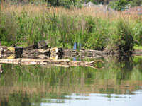 crates in the river