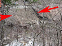 photo of red arrows pointing to new berm