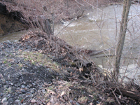 photo of more old railroad ties in the bank of the wetland