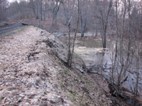 Another photo of ties in the bank of the wetland