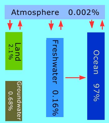 An arrow points from freshwater to the ocean