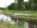 vegetation growing through the rip rap