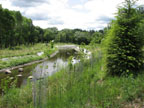 Looking downstream from the hill